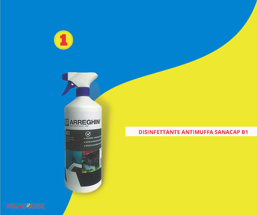 SANACAP Nettoyant anti-moisissure By CAP ARREGHINI
